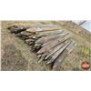 Image 3 : Variety (Bundle of 65+) Pressure Treated 6ft Fence Posts (3" & 4")