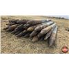 Image 2 : Variety (Bundle of 30) Pressure Treated 7ft Fence Posts (4-1/2")