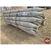 Image 1 : Pressure Treated 8ft Fence Posts (Bundle of 35) (6" & 7")