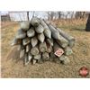 Image 2 : Pressure Treated 8ft Fence Posts (Bundle of 35) (6" & 7")