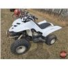 Image 3 : QUAD : 2006 Yamaha 50