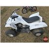 Image 4 : QUAD : 2006 Yamaha 50