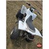 Image 5 : QUAD : 2006 Yamaha 50