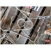 Image 3 : Variety Traps (10) : Conibear (8) & Pan (2)