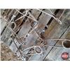 Image 4 : Variety Traps (10) : Conibear (8) & Pan (2)