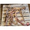 Image 2 : Pallet Lot: Boomers (8)