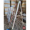 Image 1 : Ladders (3 Together)