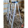 Image 3 : Ladders (3 Together)