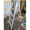 Image 4 : Ladders (3 Together)