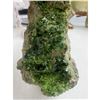 Image 3 : 3.0 INCH NATURAL GREEN GARNET SPECIMEN
