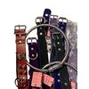 Image 2 : Group of Various Coloured Sensual Collars