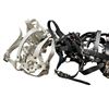 Image 2 : Shelf lot of Harnesses/Collars
