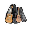 Image 1 : Group of 2 Guitalele w/Case