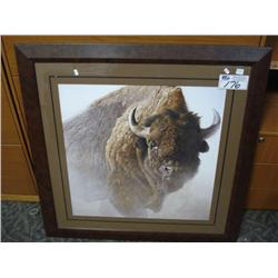 bison Chief By Robert Bateman