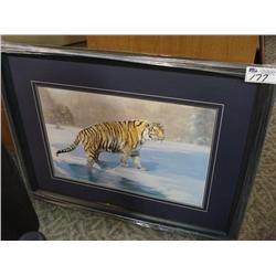 tiger Framed Print (no Glass)