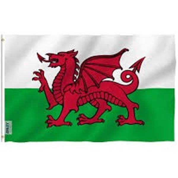 NEW 3 X 5 FT ANLEY FLY BREEZE FOOT WALES FLAG