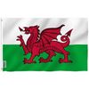 Image 1 : NEW 3 X 5 FT ANLEY FLY BREEZE FOOT WALES FLAG