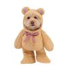 Image 1 : NEW RUBIES PET SHOP WALKING TEDDY BEAR SMALL