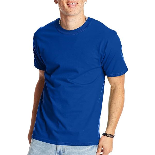 NEW 2 HANES LARGE BLUE T SHIRT