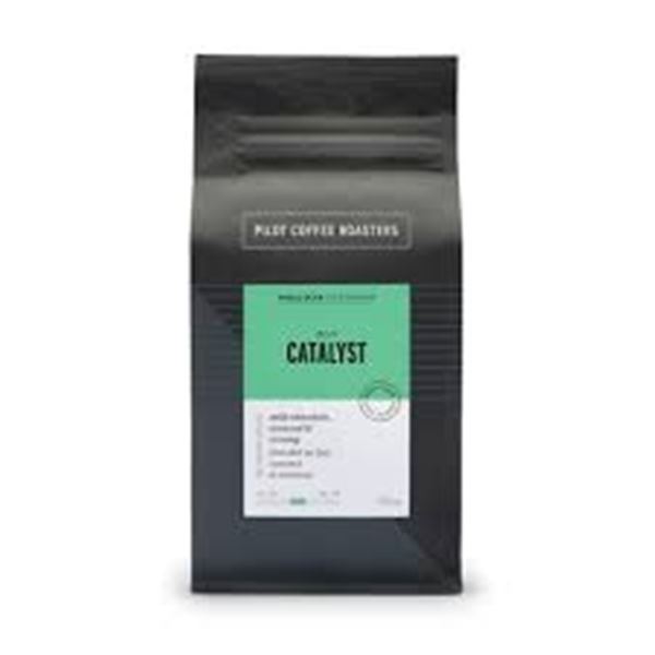 NEW 300G PILOT COFFEE ROASTERS DECAF CATALYST