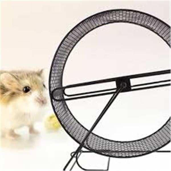 NEW TEHAUZ HEDGEHOG WHEEL HAMSTER WHEEL