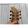 Image 13 : Jay Turser JT-RES Resonator Electric Guitar with