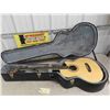 Image 16 : Jay Turser Model JTB-D100 Electric Acoustic 