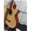 Image 8 : Jay Turser Model JTB-D100 Electric Acoustic 