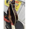 Image 11 : Anjo Electric M401 Mandolin with Case 