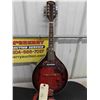 Image 2 : Anjo Electric M401 Mandolin with Case 