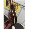 Image 9 : Anjo Electric M401 Mandolin with Case 