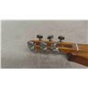 Image 2 : Dulcimer Instrument 