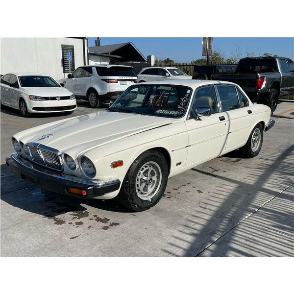 JAGU XJ6 1985 APP  DUP/T-DON