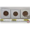 Image 5 : Canada Loonies (3): 2005 Terry Fox ~ No Grass ; 2005 Terry Fox ~ Grass ; 2005 Terry Fox ~ No Grass (