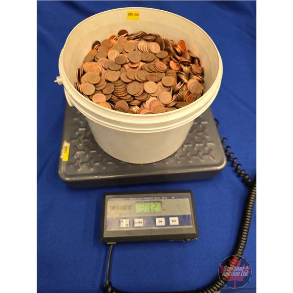 Canadian Pennies BUCKET Lot ! (SEE PICS!)  (Listing & Descriptions are a GUIDE ONLY and are subject 