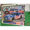 Image 17 : Binder Lot : NHRA & NASCAR & CASCAR Promotional Photos & Trading Cards (Some Autographed) (36 Pages)