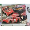 Image 19 : Binder Lot : NHRA & NASCAR & CASCAR Promotional Photos & Trading Cards (Some Autographed) (36 Pages)