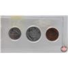 Image 3 : Canada Coins 1987 (Hardshell Case) : One Cent; Five Cent; Ten Cent; Twenty Five Cent; Dollar (SEE PI