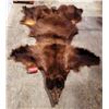 Image 1 : Bear Skin Rug