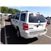 Image 4 : 2009 Ford Escape