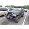 Image 1 : 1993 Jeep Wrangler