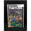 Image 1 : EASTMAN AND LAIRDS TMNT NO ,9