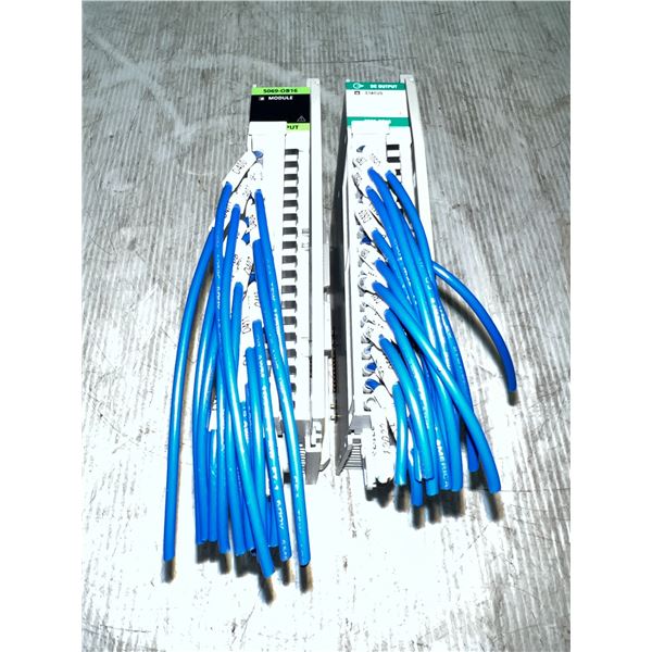 (2) Allen-Bradley #5069-OB16 Output Modules
