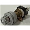 Image 3 : Allen-Bradley #800H-FPXQH10R# Push Button
