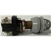 Image 7 : Allen-Bradley #800H-FPXQH10R# Push Button