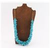 Image 4 : Navajo Sleeping Beauty Necklace