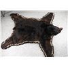 Image 5 : Black Bear Rug.
