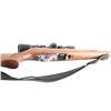 Image 6 : Ruger 10/22 .22 LR SN: 253-21194