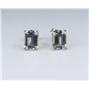 Charming Emerald Cut Aquamarine Earrings