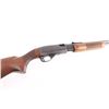Image 6 : Remington 572 .22 S/L/LR NVSN